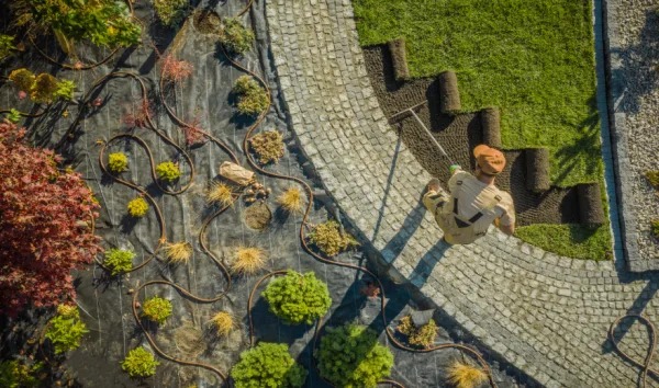 Landscape-600×354